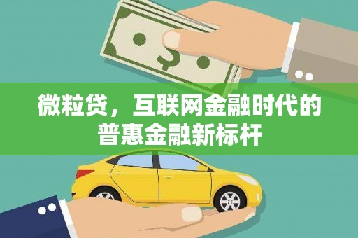 海城微粒贷，互联网金融时代的普惠金融新标杆