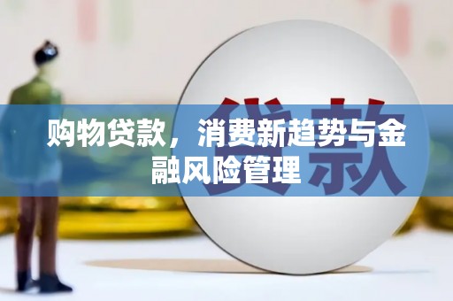 海城购物贷款，消费新趋势与金融风险管理