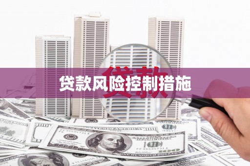 海城贷款风险控制措施