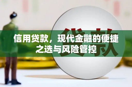 海城信用贷款，现代金融的便捷之选与风险管控