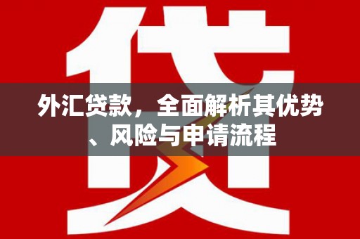 海城外汇贷款，全面解析其优势、风险与申请流程