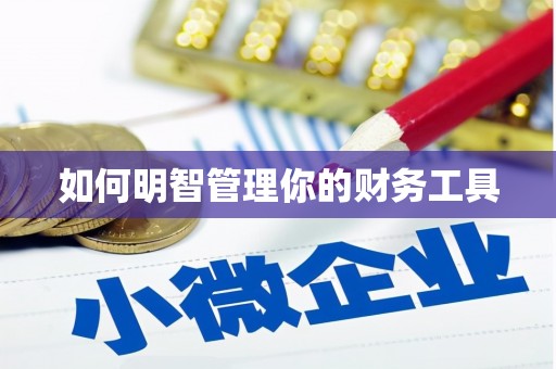 海城如何明智管理你的财务工具