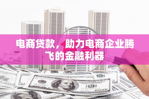 海城电商贷款，助力电商企业腾飞的金融利器
