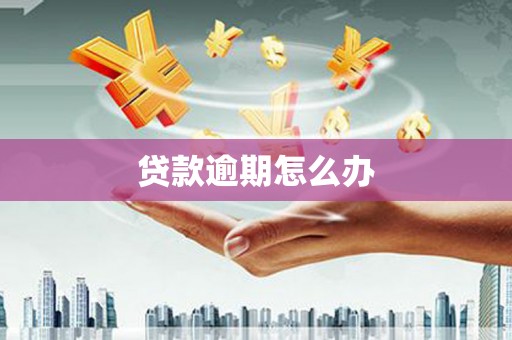 海城贷款逾期怎么办