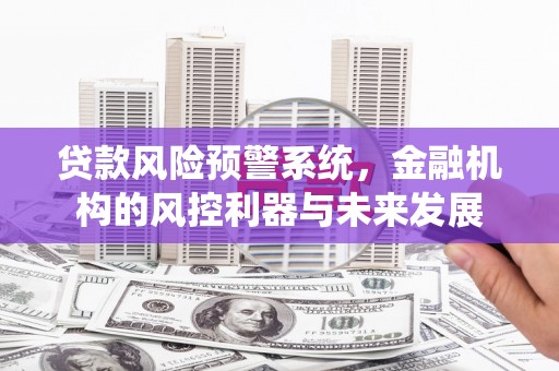 海城贷款风险预警系统，金融机构的风控利器与未来发展