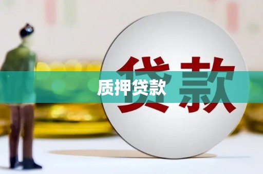 海城质押贷款