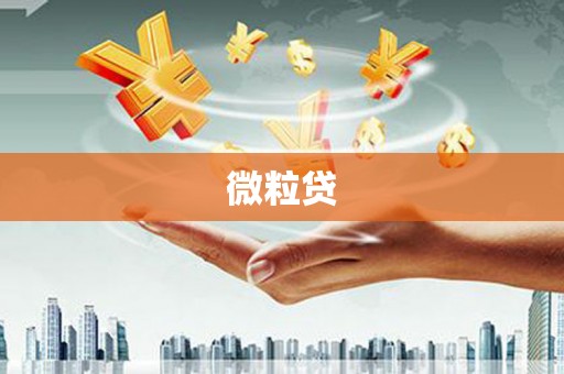 海城微粒贷