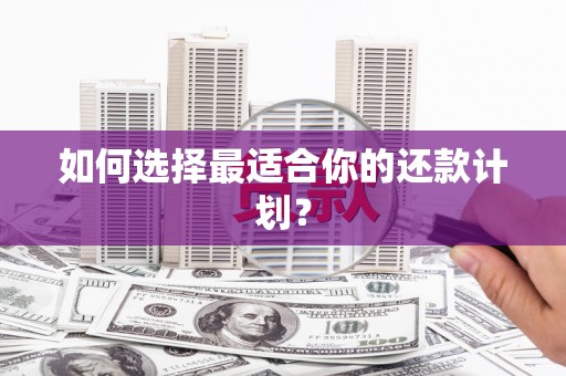 海城如何选择最适合你的还款计划？