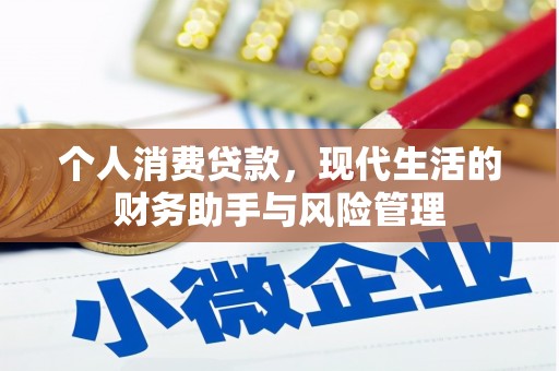 海城个人消费贷款，现代生活的财务助手与风险管理