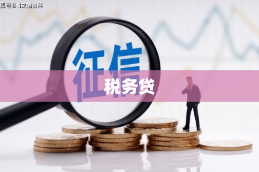 海城税务贷