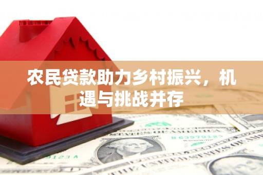 海城农民贷款助力乡村振兴，机遇与挑战并存