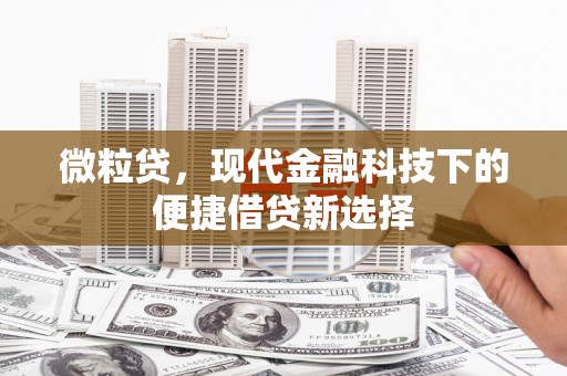 海城微粒贷，现代金融科技下的便捷借贷新选择