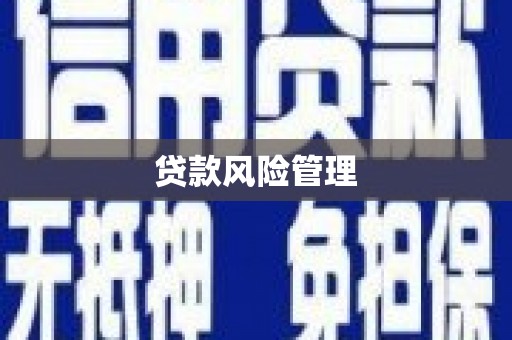 海城贷款风险管理
