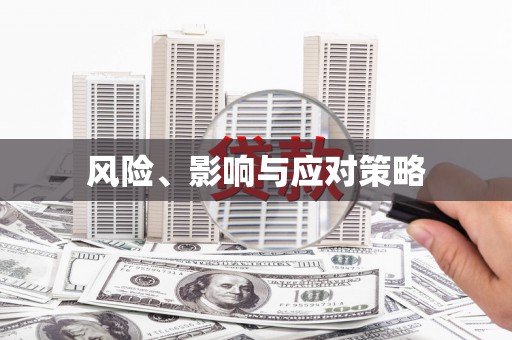 海城风险、影响与应对策略