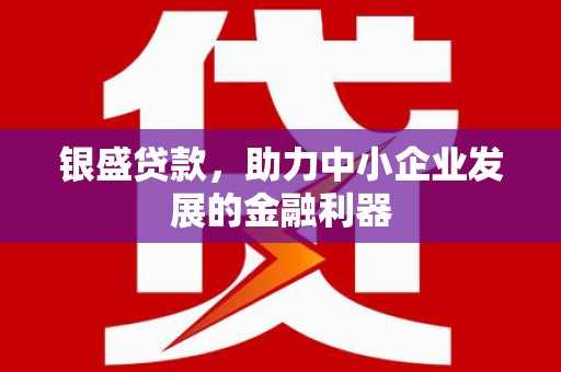 海城银盛贷款，助力中小企业发展的金融利器