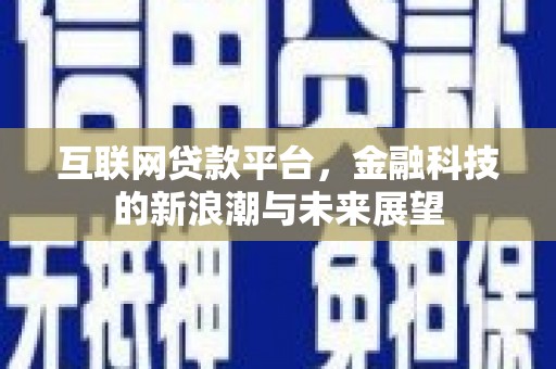 海城互联网贷款平台，金融科技的新浪潮与未来展望
