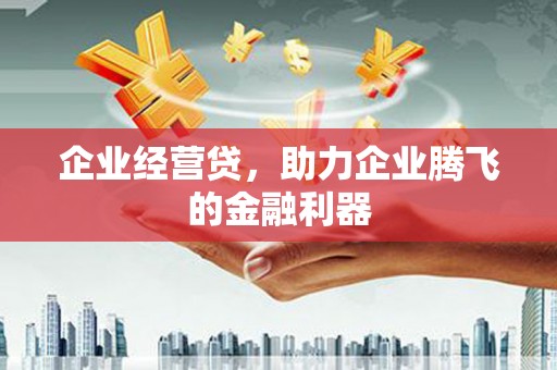 海城企业经营贷，助力企业腾飞的金融利器