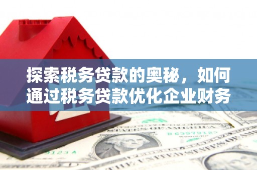 海城探索税务贷款的奥秘，如何通过税务贷款优化企业财务