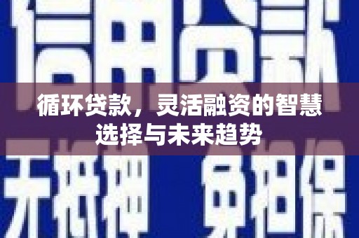 海城循环贷款，灵活融资的智慧选择与未来趋势