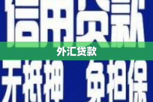 海城外汇贷款