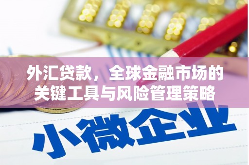 海城外汇贷款，全球金融市场的关键工具与风险管理策略