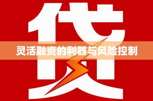 海城灵活融资的利器与风险控制