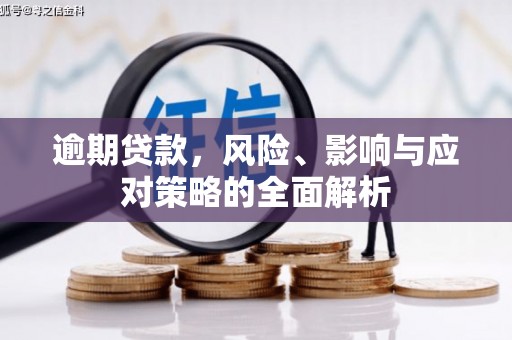 海城逾期贷款，风险、影响与应对策略的全面解析