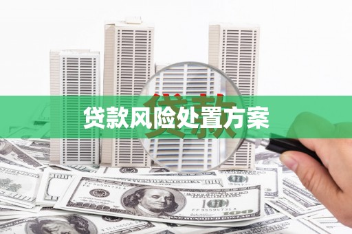 海城贷款风险处置方案