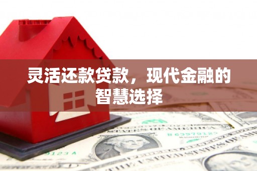 海城灵活还款贷款，现代金融的智慧选择