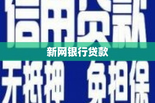 海城新网银行贷款