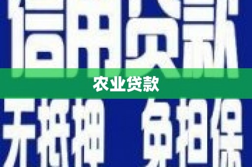 海城农业贷款