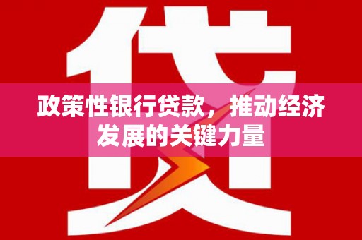 海城政策性银行贷款，推动经济发展的关键力量