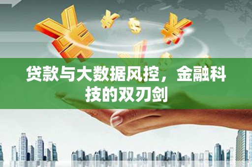 海城贷款与大数据风控，金融科技的双刃剑