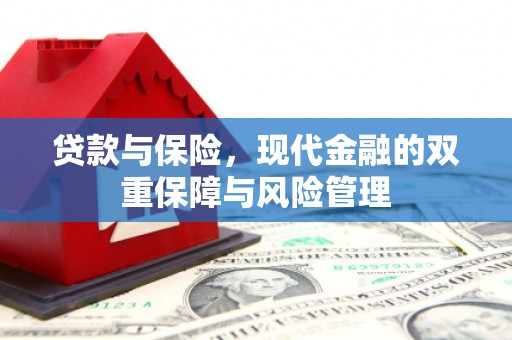 海城贷款与保险，现代金融的双重保障与风险管理