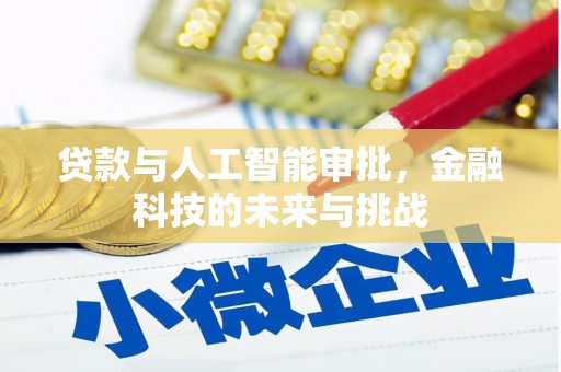 海城贷款与人工智能审批，金融科技的未来与挑战