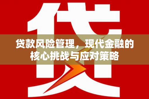 海城贷款风险管理，现代金融的核心挑战与应对策略