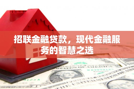 海城招联金融贷款，现代金融服务的智慧之选