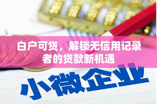 海城白户可贷，解锁无信用记录者的贷款新机遇