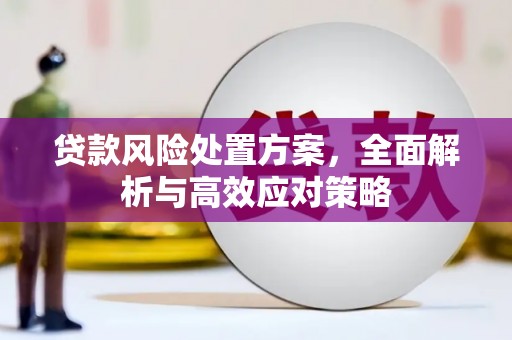 海城贷款风险处置方案，全面解析与高效应对策略