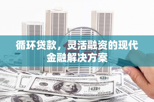 海城循环贷款，灵活融资的现代金融解决方案