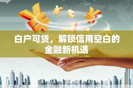 海城白户可贷，解锁信用空白的金融新机遇
