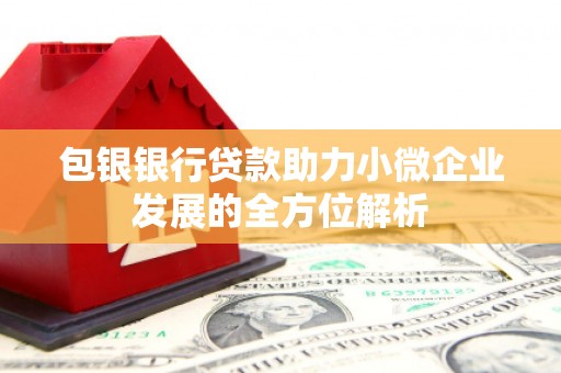 海城包银银行贷款助力小微企业发展的全方位解析