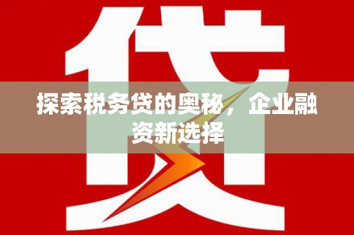 海城探索税务贷的奥秘，企业融资新选择
