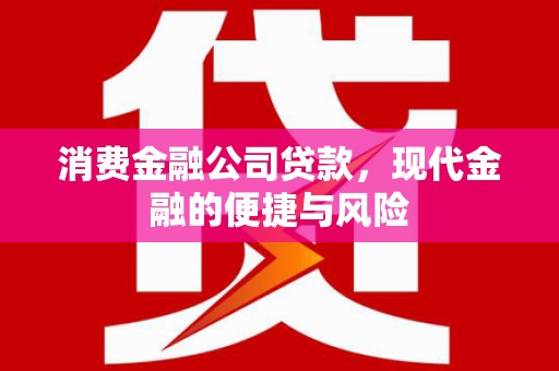 海城消费金融公司贷款，现代金融的便捷与风险