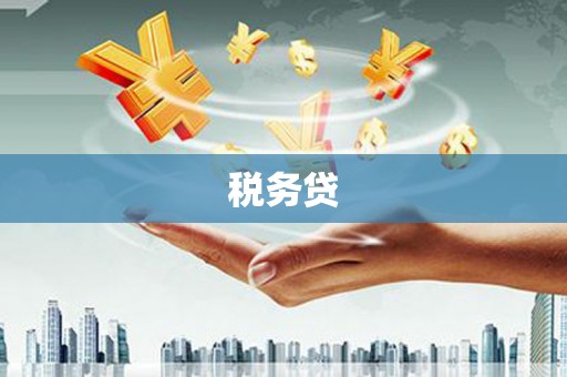 海城税务贷