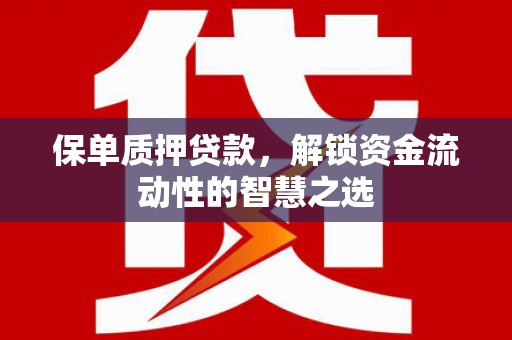海城保单质押贷款，解锁资金流动性的智慧之选