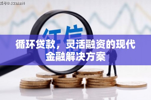 海城循环贷款，灵活融资的现代金融解决方案
