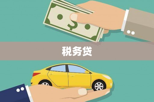 海城税务贷