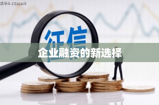 海城企业融资的新选择