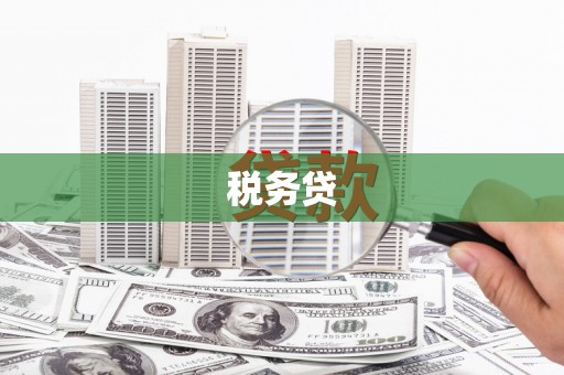 海城税务贷